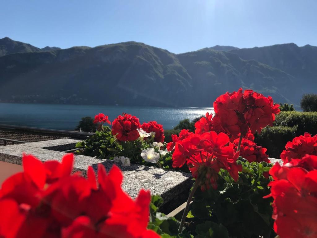 Angelina'S House With Lake View - 贝拉焦 外观 照片